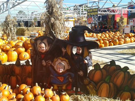 Nick's garden - Nick's Garden Center is such a local gem for families. While it's generally a good place to buy plants and trees, during the fall and holidays, it's so much fun for kids. From the roasted...